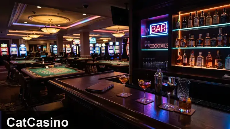CatCasino tarixi: qanday boshlandi va qayerga yetdi